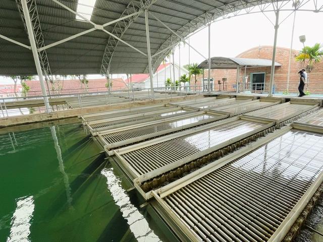 giải pháp nước cấp tự động
